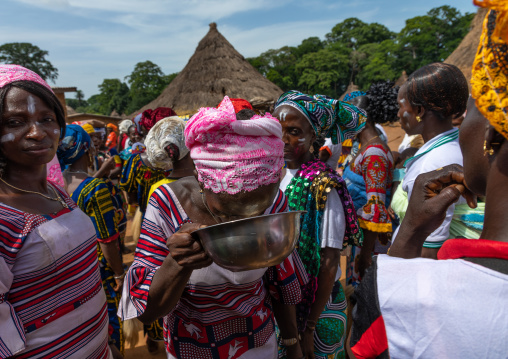 Dan tribe women celebrating the yam harvest in a village, Bafing, Godoufouma, Ivory Coast