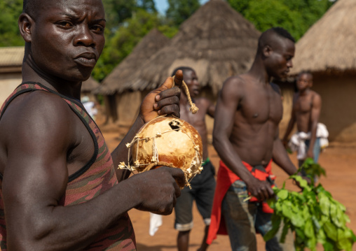 Dan tribe men dancing with leaves during a ceremony, Bafing, Gboni, Ivory Coast