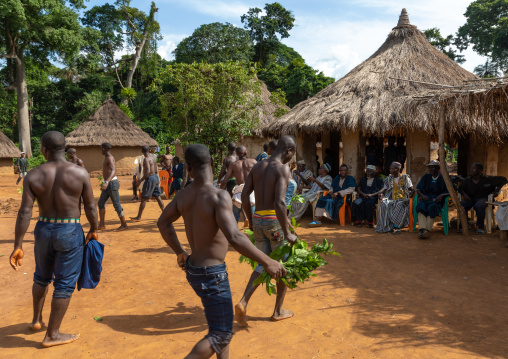 Dan tribe men dancing with leaves during a ceremony, Bafing, Gboni, Ivory Coast