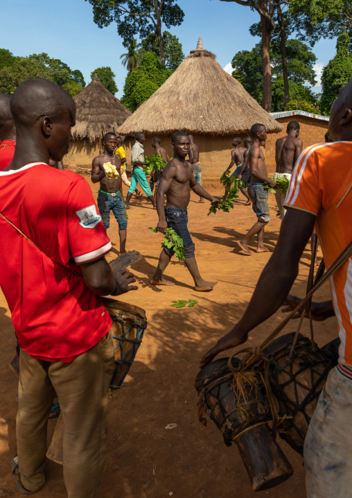 Dan tribe men dancing with leaves during a ceremony, Bafing, Gboni, Ivory Coast