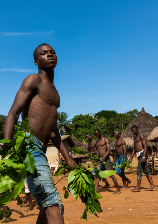 Dan tribe men dancing with leaves during a ceremony, Bafing, Gboni, Ivory Coast