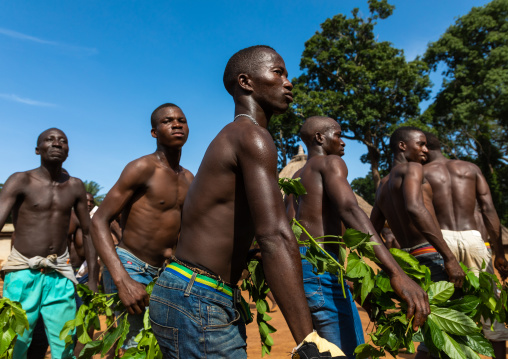 Dan tribe men dancing with leaves during a ceremony, Bafing, Gboni, Ivory Coast