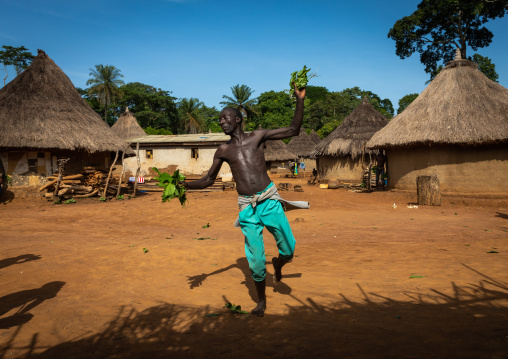 Dan tribe man dancing with leaves during a ceremony, Bafing, Gboni, Ivory Coast
