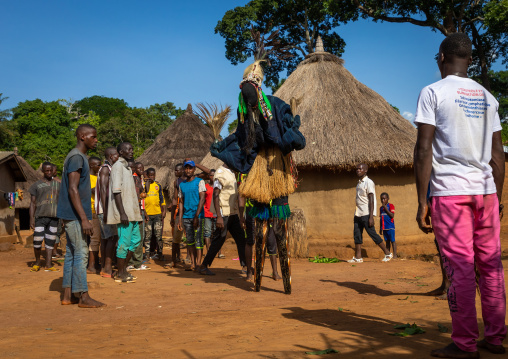 The tall mask dance with stilts called Kwuya Gblen-Gbe in the Dan tribe during a ceremony, Bafing, Gboni, Ivory Coast
