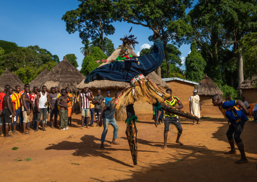 The tall mask dance with stilts called Kwuya Gblen-Gbe in the Dan tribe during a ceremony, Bafing, Gboni, Ivory Coast