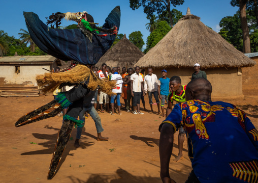 The tall mask dance with stilts called Kwuya Gblen-Gbe in the Dan tribe during a ceremony, Bafing, Gboni, Ivory Coast