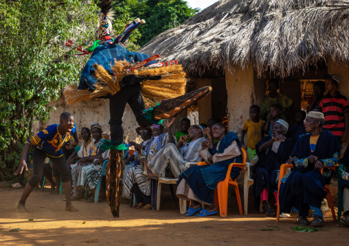 The tall mask dance with stilts called Kwuya Gblen-Gbe in the Dan tribe during a ceremony, Bafing, Gboni, Ivory Coast