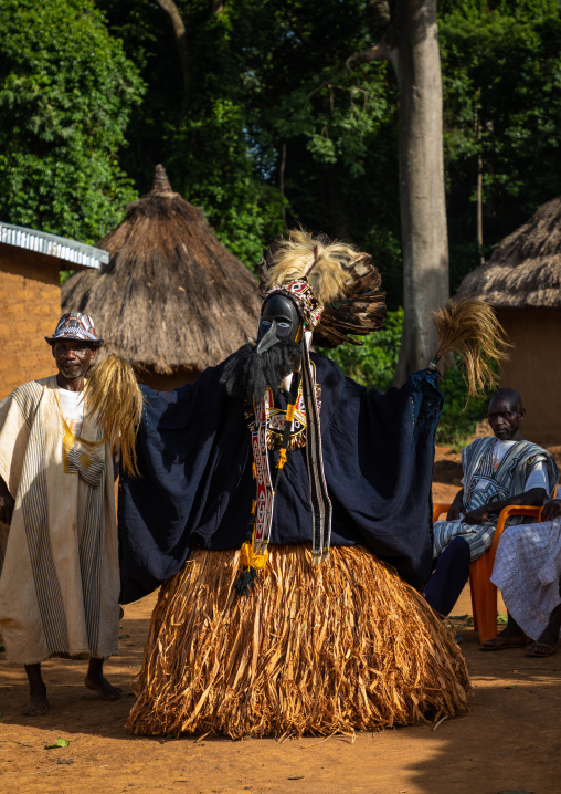 Dan tribe mask sacred dance during a ceremony, Bafing, Gboni, Ivory Coast
