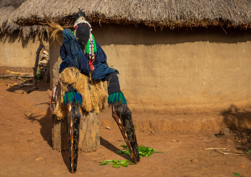 The tall mask dance with stilts called Kwuya Gblen-Gbe in the Dan tribe during a ceremony, Bafing, Gboni, Ivory Coast