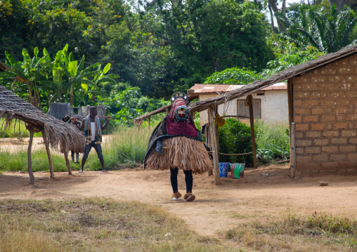 We Guere sacred mask coming out of the sacred forest for a ceremony, Guémon, Bangolo, Ivory Coast