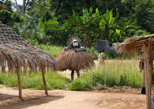 We Guere sacred mask coming out of the sacred forest for a ceremony, Guémon, Bangolo, Ivory Coast
