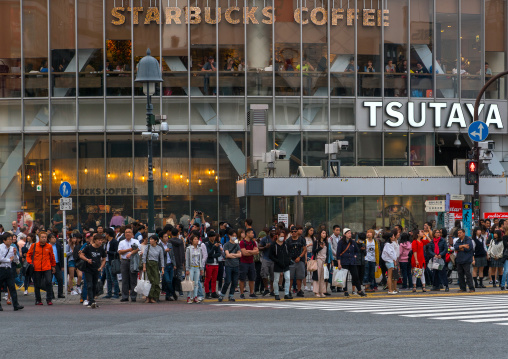 Shibiuya crossing crowded with pedestrians, Kanto region, Tokyo, Japan