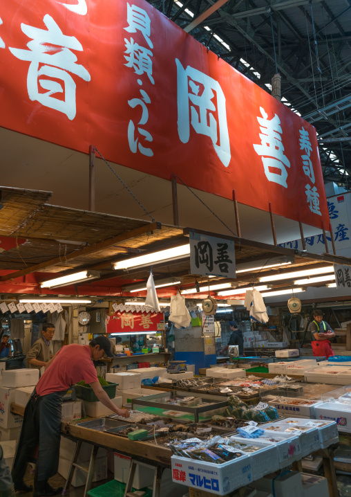 Tsukiji fish market stalls, Kanto region, Tokyo, Japan
