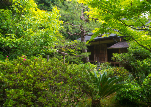 Garden in koto-in zen buddhist temple in daitoku-ji, Kansai region, Kyoto, Japan
