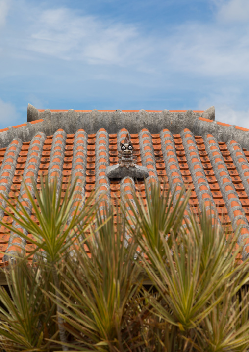 Shisa lion atop traditional tile roof to protect the house from the bad spirits, Yaeyama Islands, Taketomi island, Japan