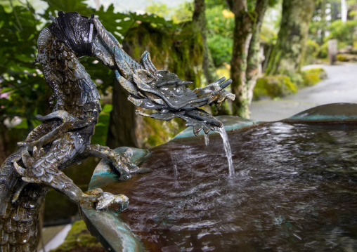 Old japanese basin with small green bronze dragon statue, Izu peninsula, Izu, Japan