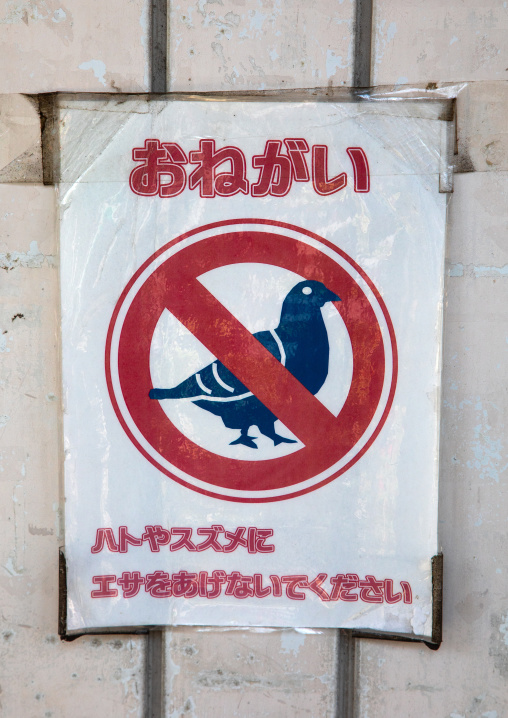 Do not feed the pigeons sign, Kanto region, Tokyo, Japan
