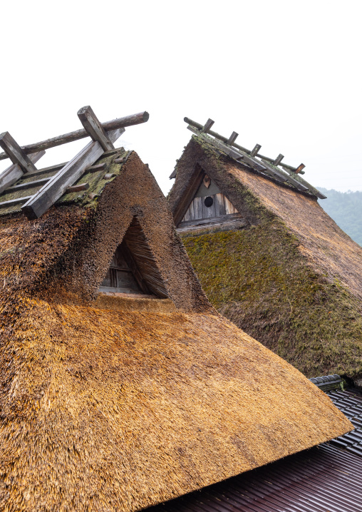 Thatched roofed houses in a traditional village, Kyoto Prefecture, Miyama, Japan