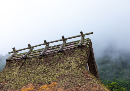 Thatched roofed house in a traditional village, Kyoto Prefecture, Miyama, Japan