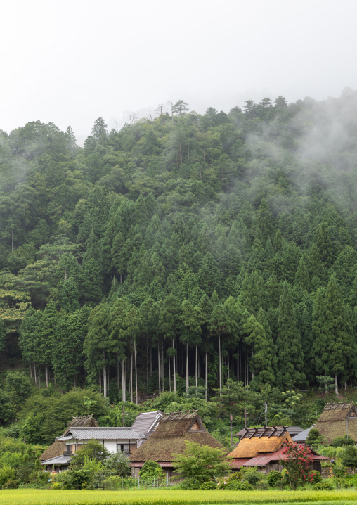 Thatched roofed houses in a traditional village against a forest, Kyoto Prefecture, Miyama, Japan