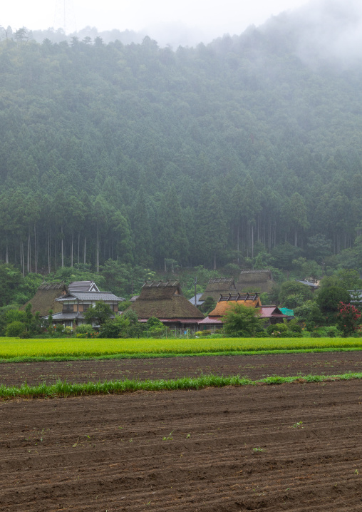 Thatched roofed houses in a traditional village against a forest, Kyoto Prefecture, Miyama, Japan