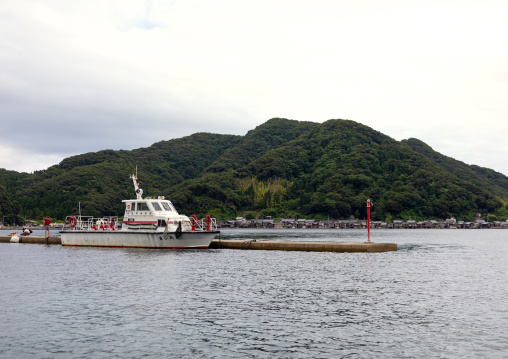 Boat against bamboo forest, Kyoto prefecture, Ine, Japan