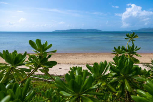 Salt beach, Yaeyama Islands, Ishigaki-jima, Japan