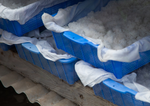 No shio salt factory, Yaeyama Islands, Ishigaki-jima, Japan