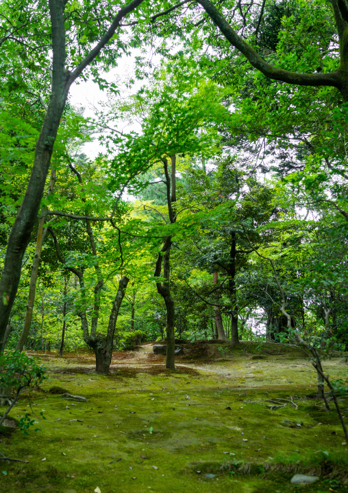 Kenroku-en garden, Ishikawa Prefecture, Kanazawa, Japan