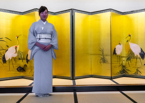 Traditional japanese screen inside kinjhoro ryokan, Ishikawa Prefecture, Kanazawa, Japan