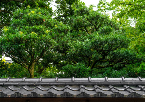 Old samurai quarter, Ishikawa Prefecture, Kanazawa, Japan