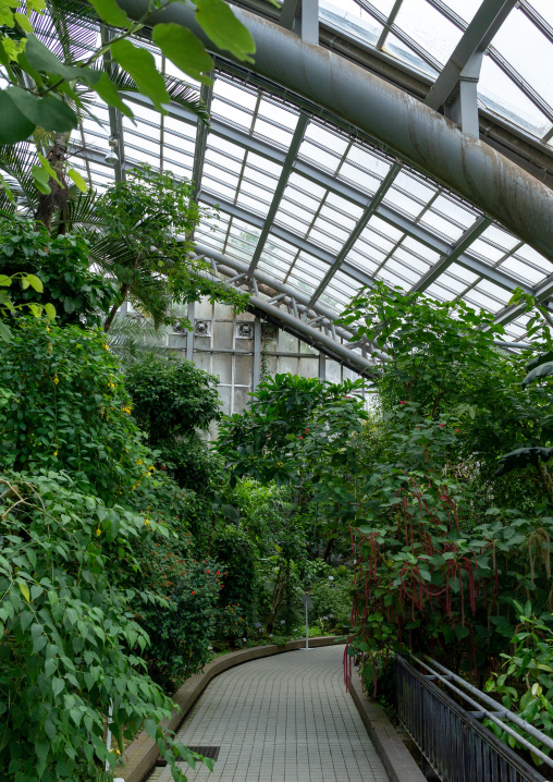 The Kyoto botanical garden greenhouse, Kansai region, Kyoto, Japan