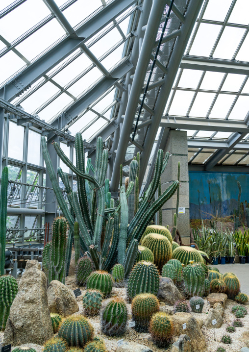 The Kyoto botanical garden greenhouse, Kansai region, Kyoto, Japan