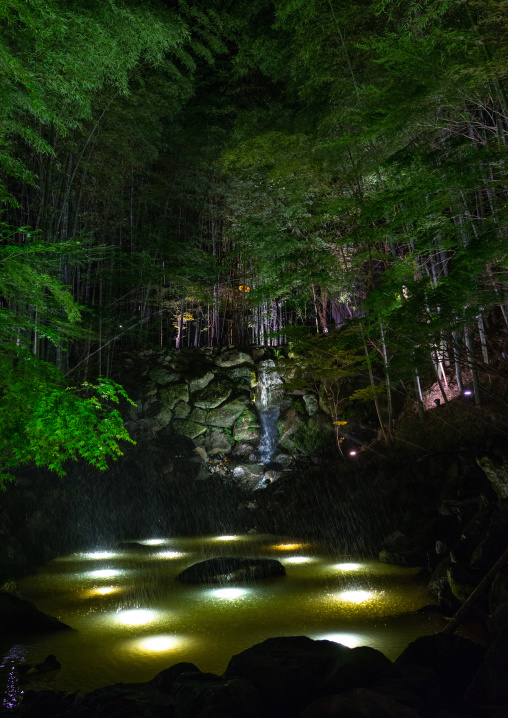 Bamboo forest in Takefue ryokan, Kumamoto Prefecture, Minamioguni-machi, Japan