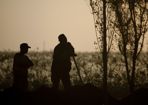Workers In The Steppe, Astana, Kazakhstan