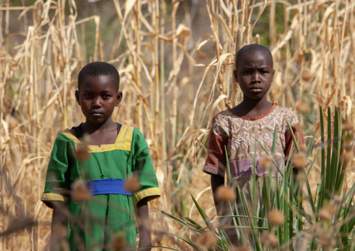 Tharaka tribe girls in a field, Laikipia County, Mount Kenya, Kenya