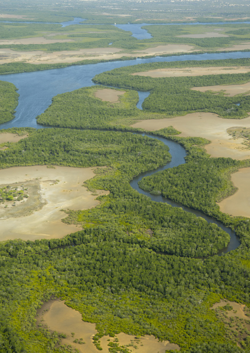 Mangrove near the sea, Lamu county, Lamu, Kenya