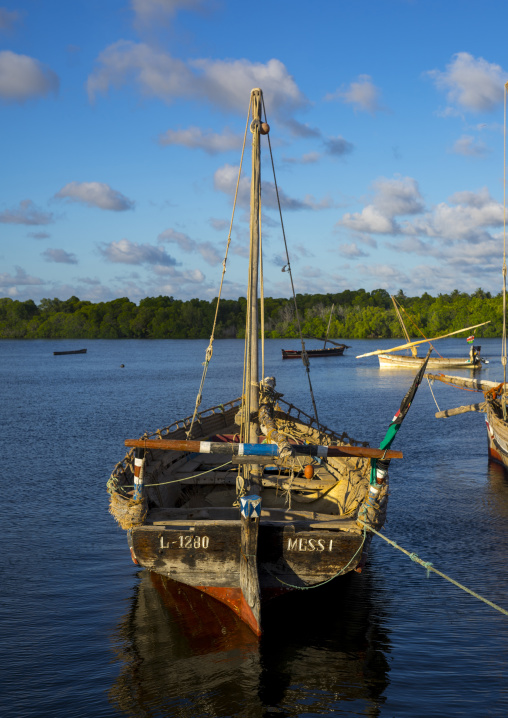 Fishing dhows moored along coastline, Lamu county, Matondoni, Kenya