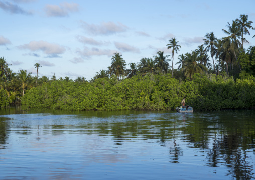 Mangrove on the sea, Lamu county, Matondoni, Kenya