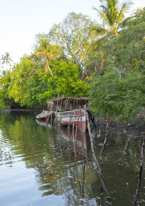 Fishing dhow moored along coastline, Lamu county, Matondoni, Kenya