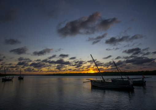 Fishing dhow moored along coastline at sunset, Lamu county, Matondoni, Kenya