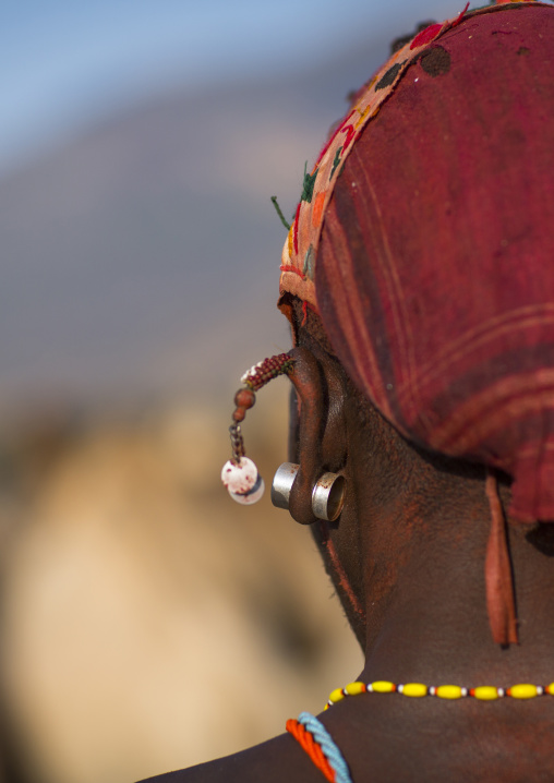 Rendille tribesman with his camels, Marsabit district, Ngurunit, Kenya