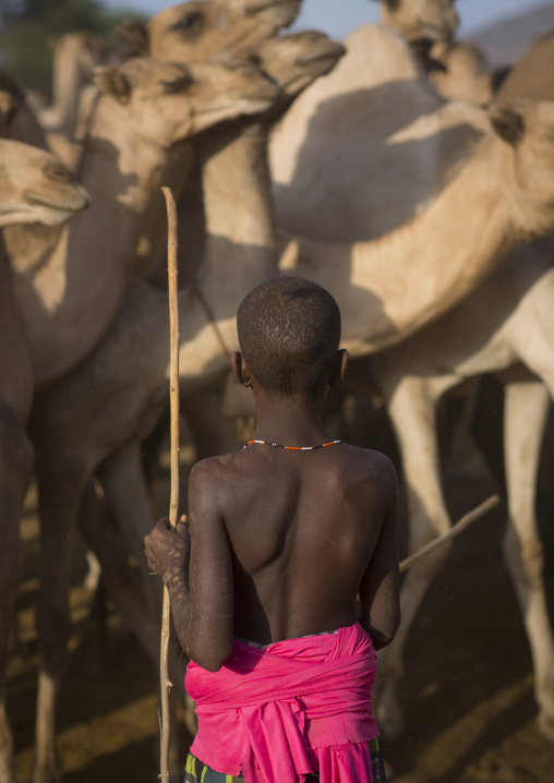 Rendille tribe boy, Marsabit district, Ngurunit, Kenya