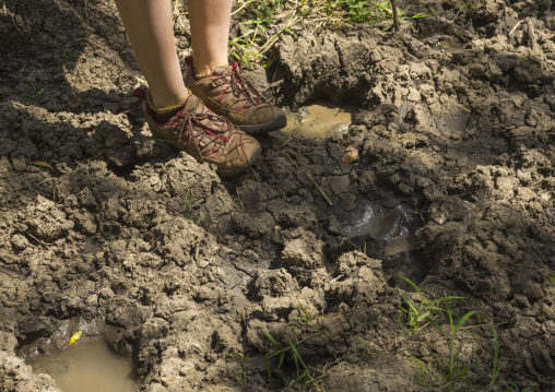 Tourist looking at hippopotamus amphibius footprints, Rift valley province, Maasai mara, Kenya