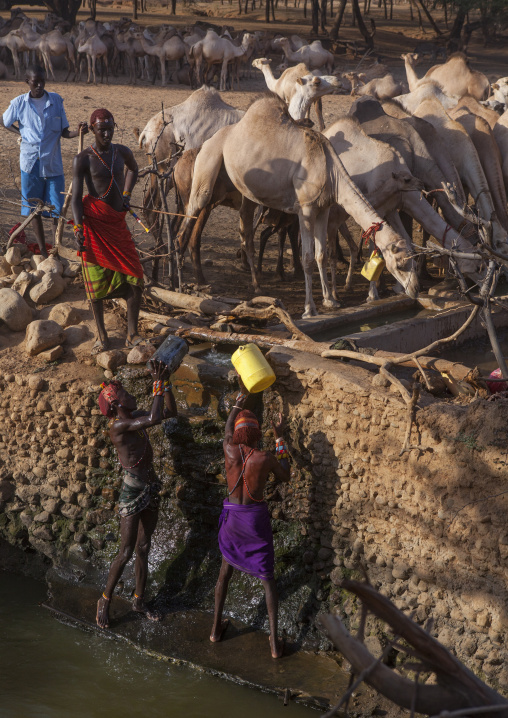 Rendille tribe men taking water in a singing well for their camels, Marsabit district, Ngurunit, Kenya