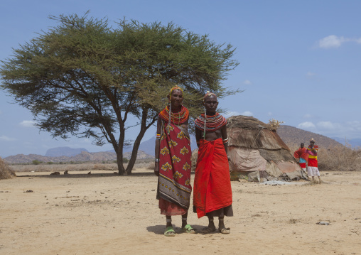 Rendille tribeswomen, Marsabit district, Ngurunit, Kenya