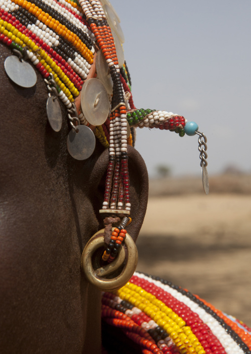 Detail of a rendille tribeswoman earring, Marsabit district, Ngurunit, Kenya