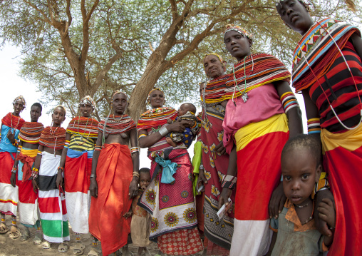 Rendille tribeswomen, Marsabit district, Ngurunit, Kenya