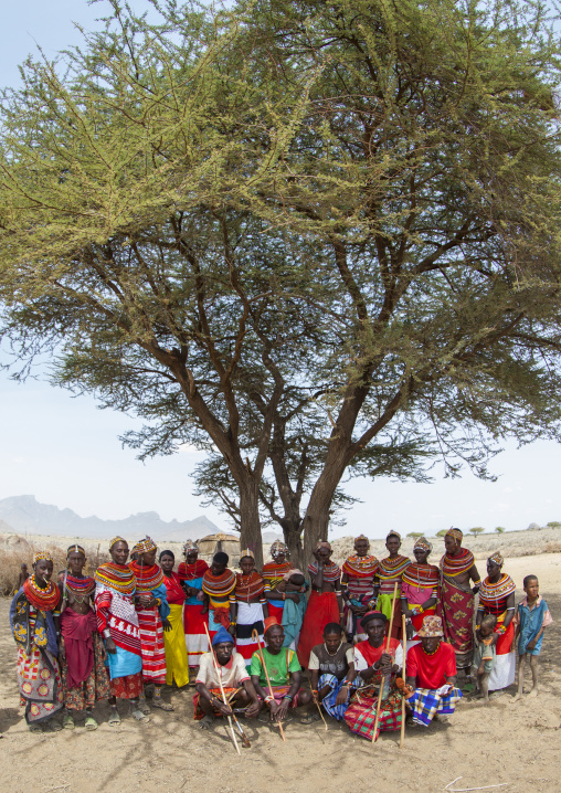 Rendille tribe under a big tree, Marsabit district, Ngurunit, Kenya
