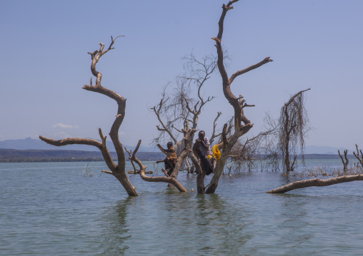 Children fishing on a tree covered by increased water, Baringo county, Baringo, Kenya